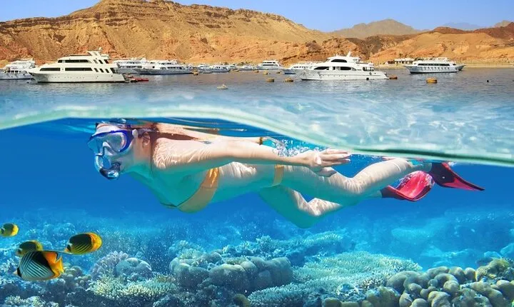 Tiran Island Full Day Boat Trip With Lunch from Sharm El Sheikh