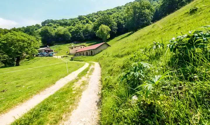 Bike & Cheese Alpe Bolla
