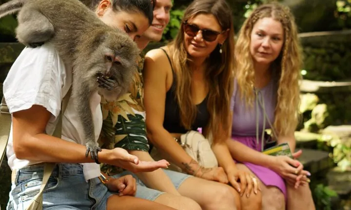 Best Of Ubud : Waterfall, Temple, Monkey Forest & Rice Terrace