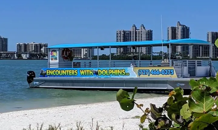 Clearwater Encounters with Dolphins Tour