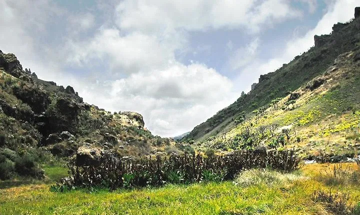 3 days Mt. Elgon hiking and Sipi falls