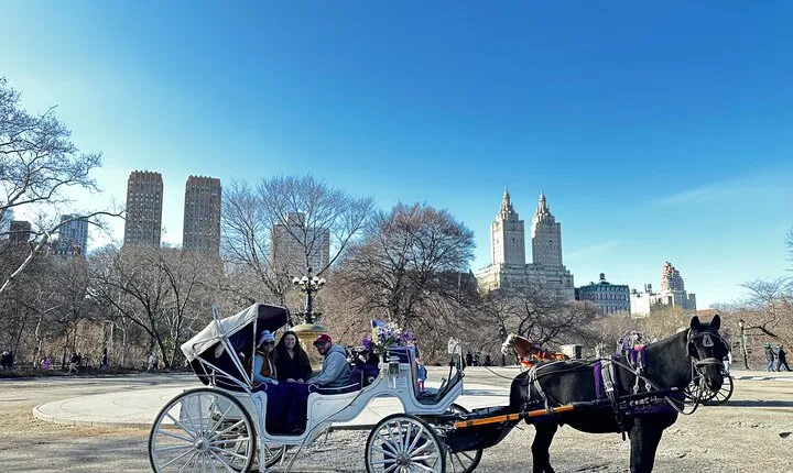 Luxury Horse and Carriage Tours in Central Park