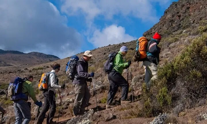 7 Days Kilimanjaro Climb Adventure via Rongai Route