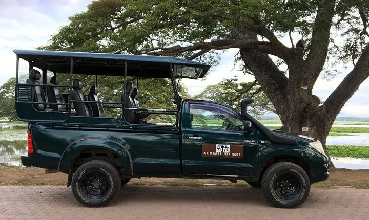 Yala National Park Wildlife Safari/ Game Drive - by Ajith Safari