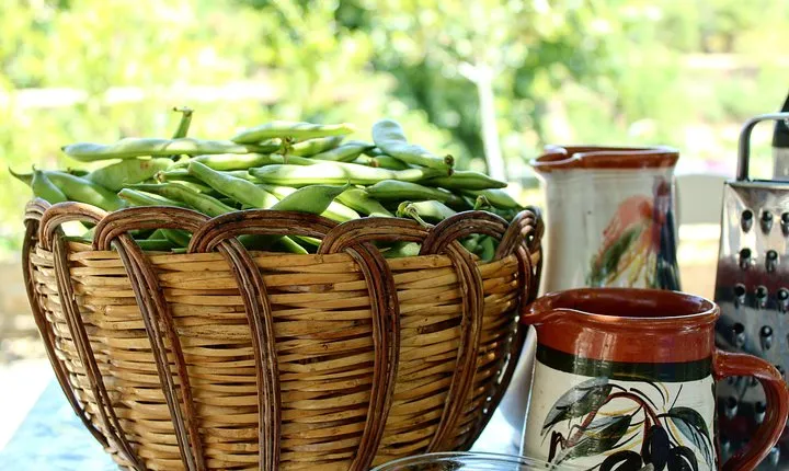 Naxos:Half-day cooking class at Basiliko 