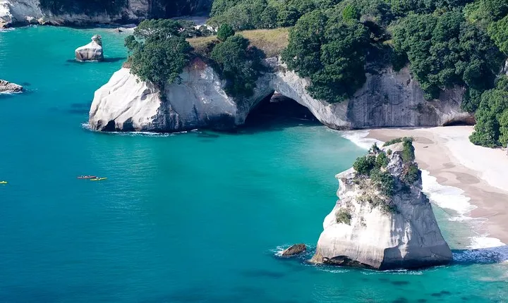 Auckland to Coromandel Private Tour