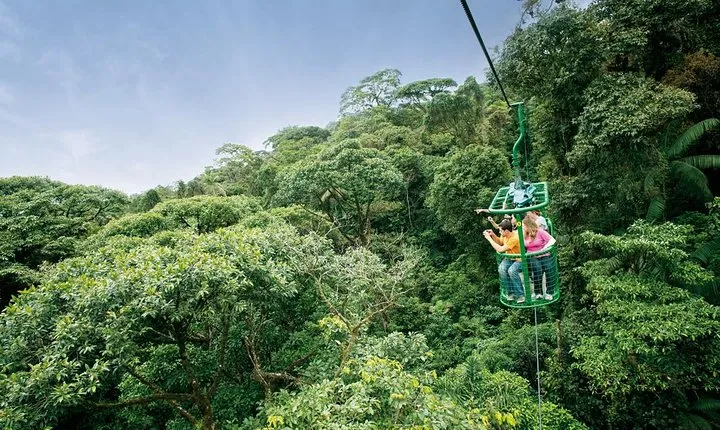 6 in 1 RainForest Adventure From San Jose