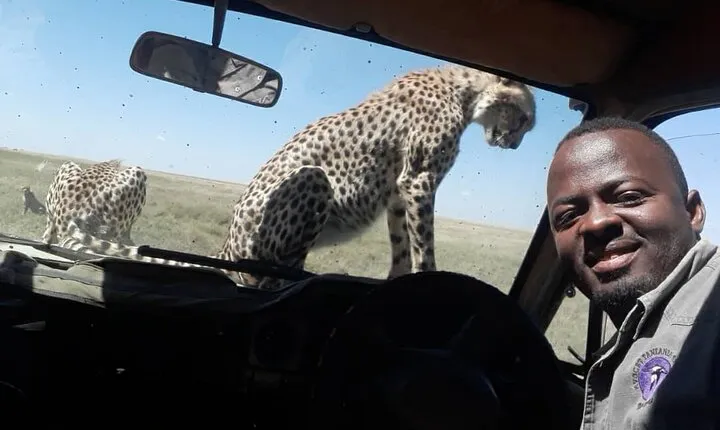 5 Days Tanzania Group Joining Safari, Tarangire/Serengeti/Ngorongoro Crater