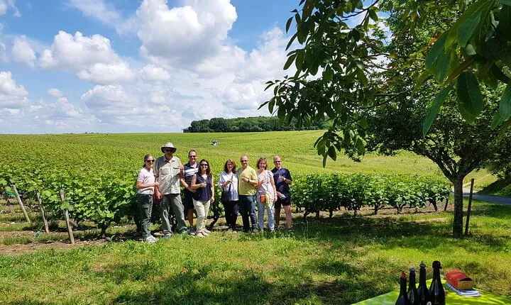 Loire Valley Half Day Wine Tour from Tours : 2 Vouvray wineries