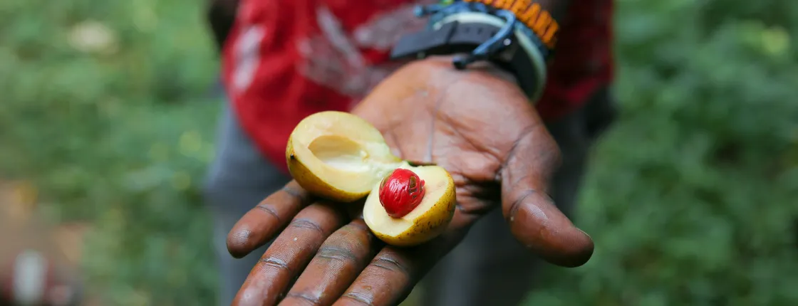 Zanzibar spice plantation, cave, and village adventure private tour