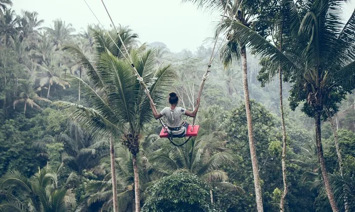 Best of Ubud with Jungle Swing Tour