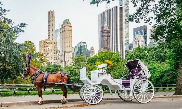 Private NYC Central Park Horse Carriage Ride (Guided) Since 1965™