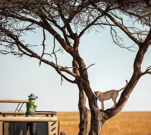 2-Day and 1 night Ngorongoro and Lake Manyara Tours
