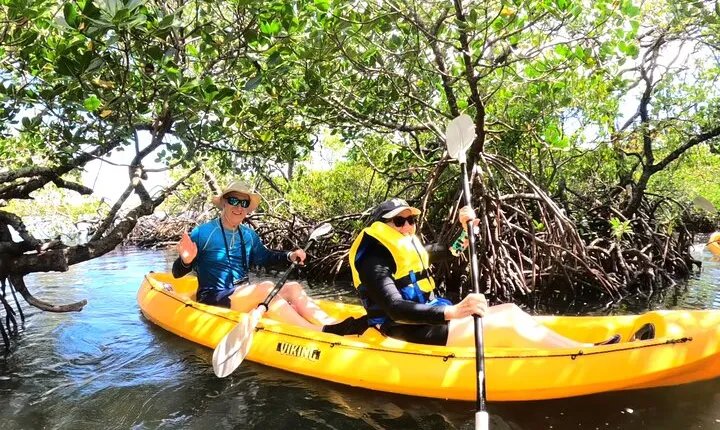 Noosa Heads: Hidden Waterways & Wildlife Kayak Tour