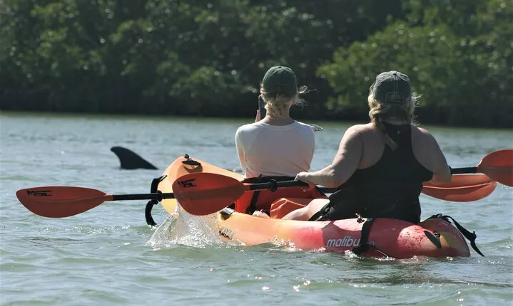 Nauti Exposures - Kayak rental Naples, FL