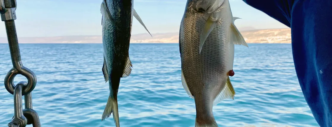 Agadir Fishing Experience