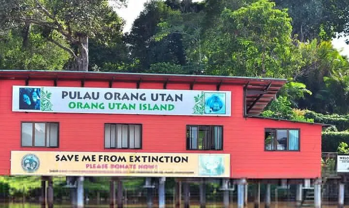 Ipoh & Orang Utan Island Day Tour from Kuala Lumpur