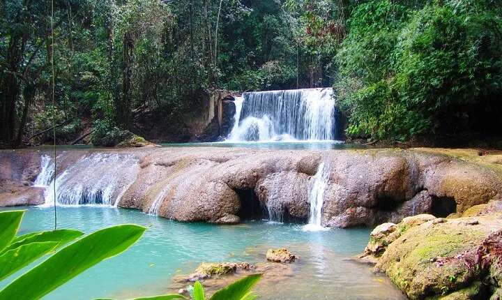 Customizable Combo package to Black River Safari and YS Falls