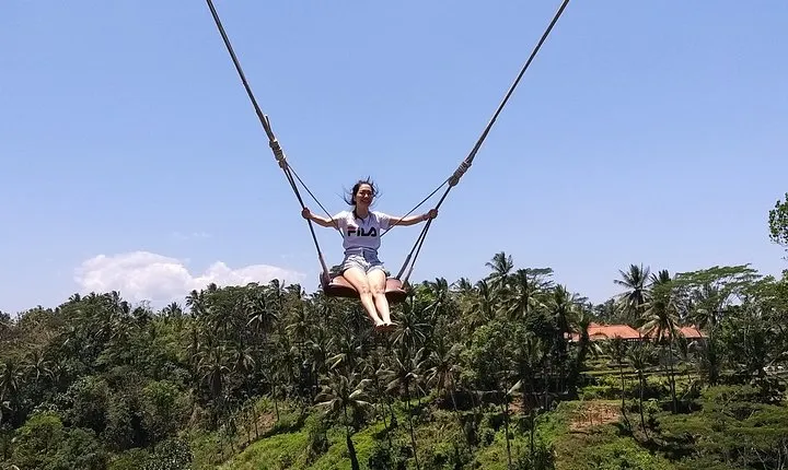 Ubud & volcano tour
