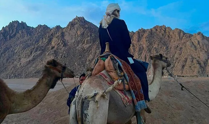 Full Day Desert and Sea Mega Adventure in Sharm El Sheikh
