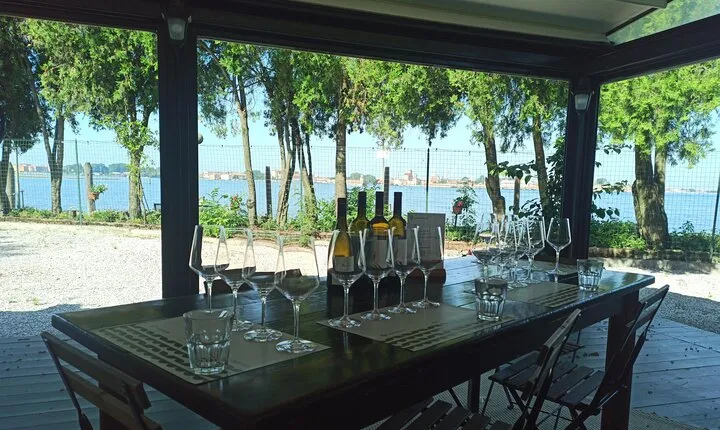 Private Wine Tasting Experience in Venice