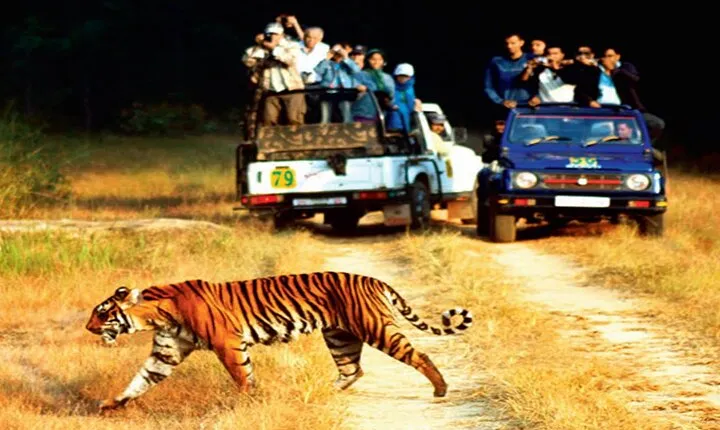 2 - Days: Jim Corbett jungle safari tour from Hyderabad by Flight