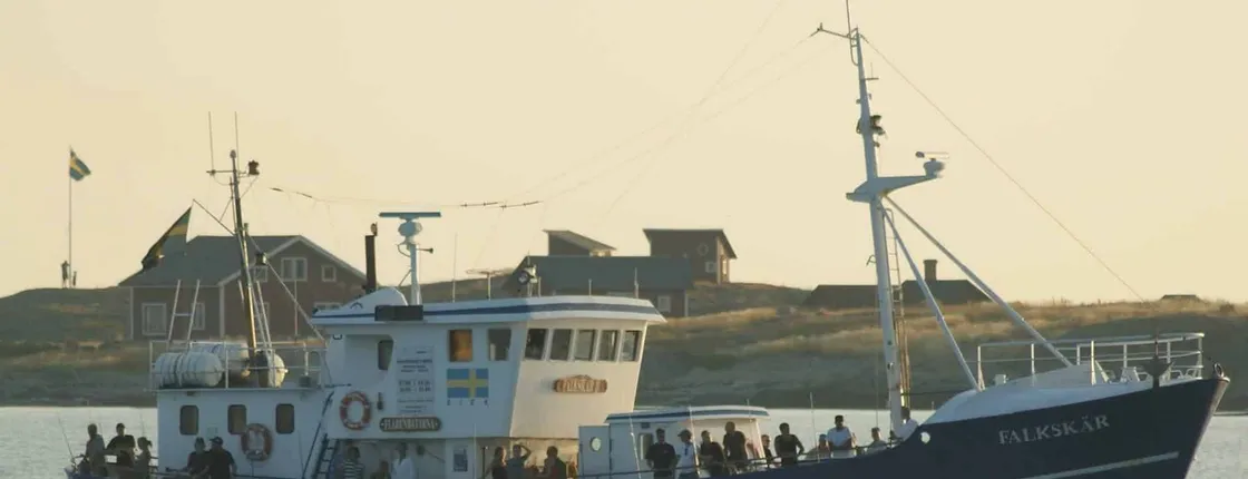 8-hour fishing tour from Varberg on Falkskär II boat