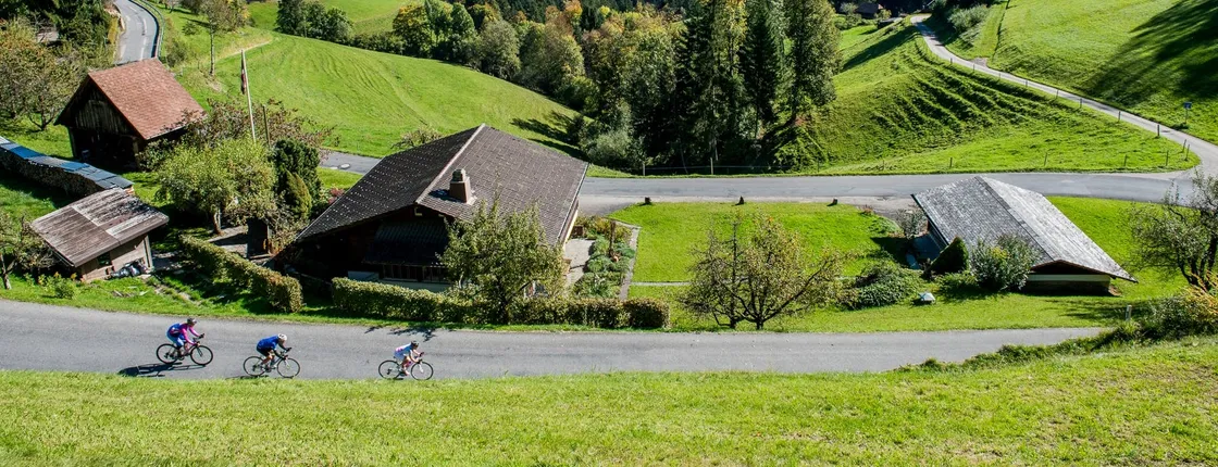 Bern capital and countryside tour from Lucerne
