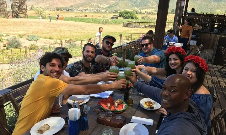 Luxury Private Wine Tasting Tour to Guadalupe Valley from San Diego