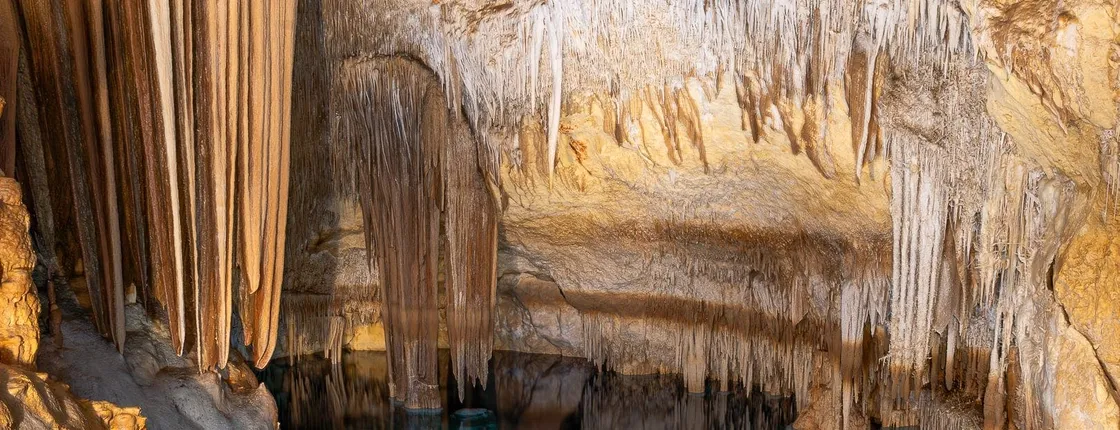 Cova dels Coloms Sea Caves Guided Tour with Eco Island Adventure