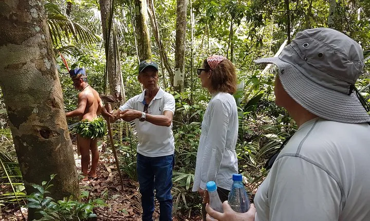 Amazon Forest Tour 4-Hour Trekking