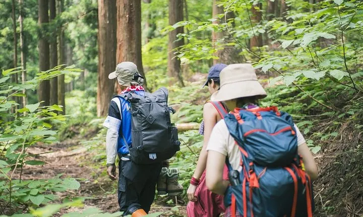Bach Ma National Park Trekking Tour 1 Day From Hue City
