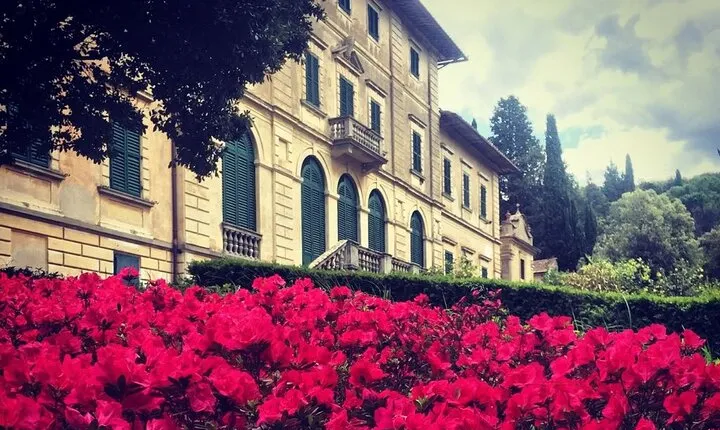 Wine Tasting Activity at Chianti Rufina
