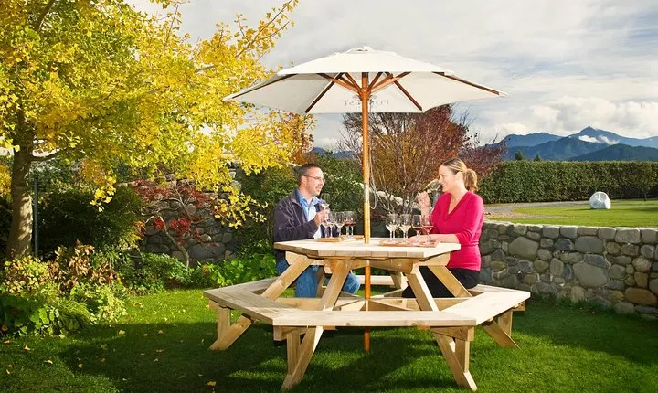 Half-Day Wine Tour from Blenheim