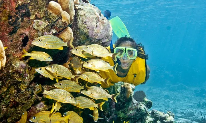 Mayan Adventure Snorkeling Tour from Playa del Carmen or Riviera Maya