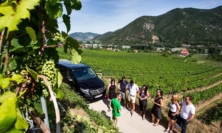 Wachau Valley Small-Group Tour and Wine Tasting from Vienna