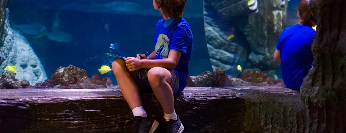 SEA LIFE Munich tickets
