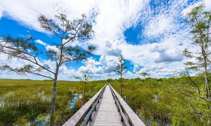 Everglades National Park: Self Guided Driving Audio Tour