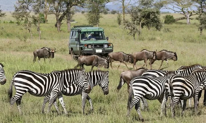 Full-Day Trip at Arusha National Park