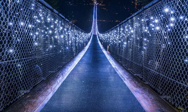 Vancouver Small Group Night Tour w/Capilano + Grouse Mtn Dinner