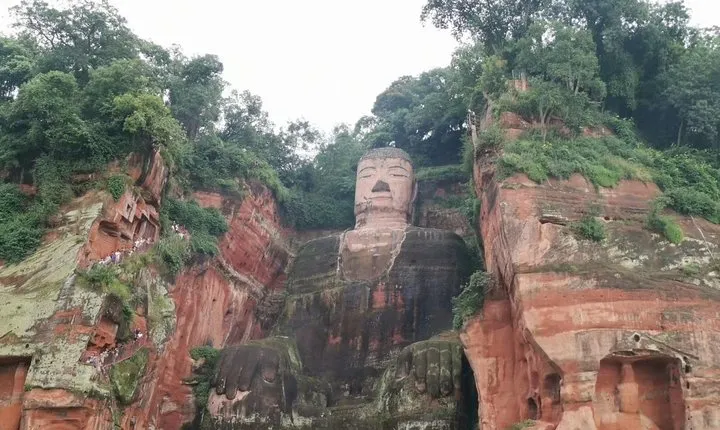Private Full-Day Tour from Chengdu to Panda Base and Leshan Buddha