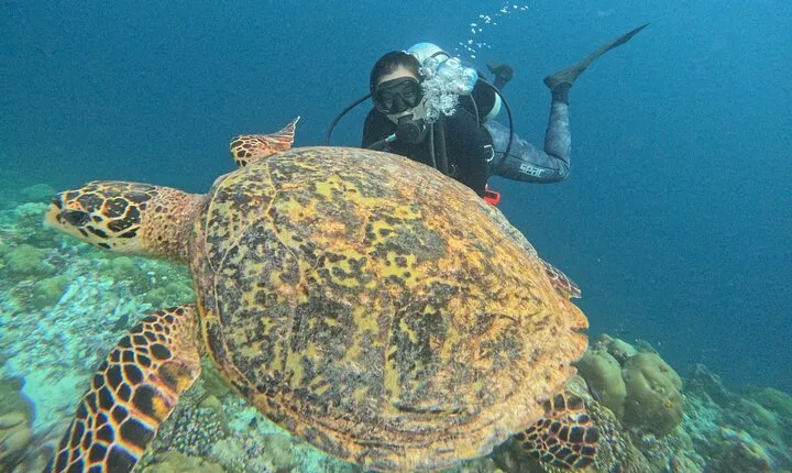 First Scuba Diving Experience in Tenerife with Instructor