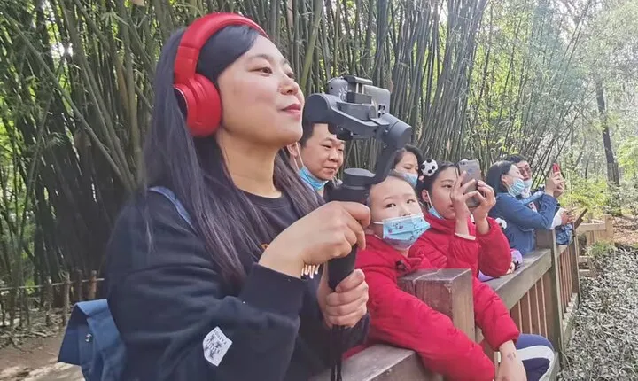 LIVE Streaming: Meet Pandas at Chengdu Research Base of Giant Panda Breeding