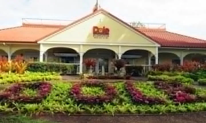 Oahu Ultimate Circle Island Tour Full Day Experience