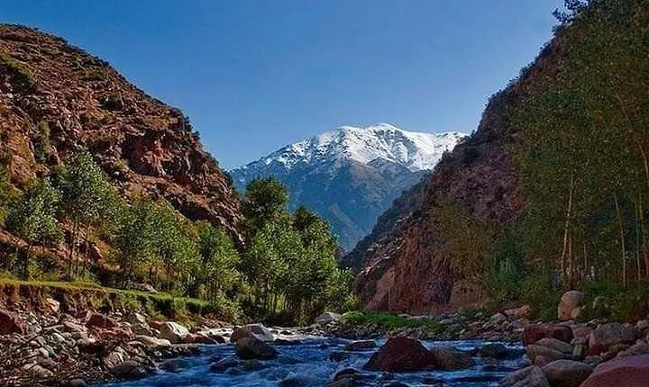 1 Day Ourika valley Excursion - Private (2 pers minimum)