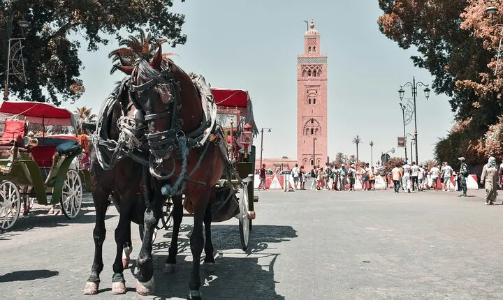 From Agadir or Taghazout: Guided Marrakech day trip