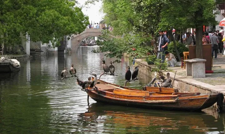 Private Round Trip Transfer to Suzhou & Zhouzhuang from Shanghai