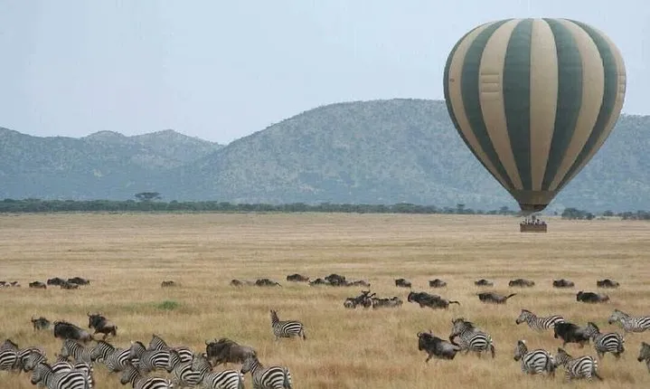 3 days in middle of Serengeti & ngorongoro crater