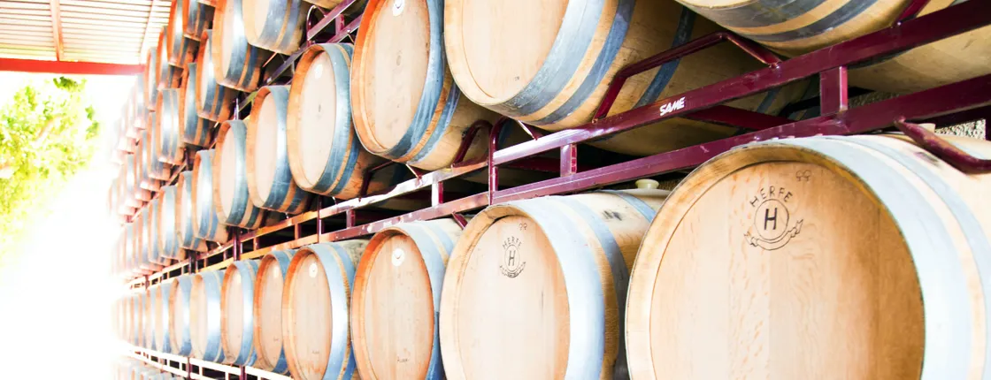 Mendoza Winery Tour and Tasting Ticket