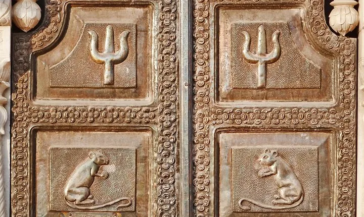 Karni Mata Temple (A Unique Rat Temple) Near Bikaner